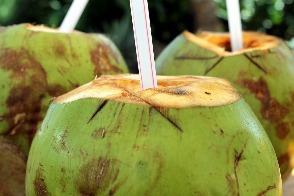 ठंडक के साथ-साथ पोषण भी देता है नारियल पानी